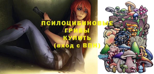mdpv Каменка