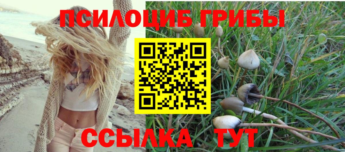 Солнечногорск  Галлюциногенные грибы GOLDEN TEACHER  Вход с VPN 