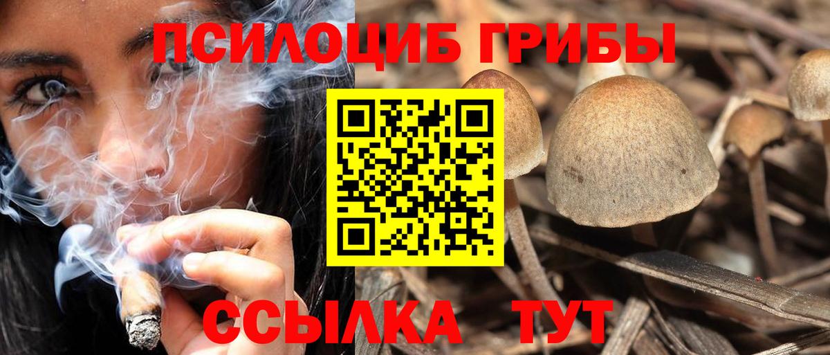 Псилоцибиновые грибы MAGIC MUSHROOMS Солнечногорск